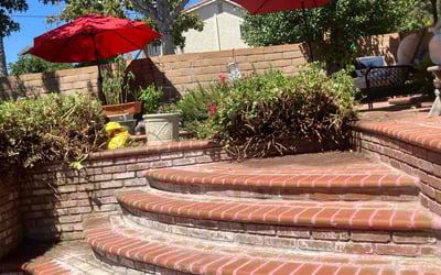 Photo of Susan P.'s yard after getting landscaping in Fullerton, CA