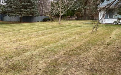 Photo of Daniel T.'s yard after getting landscaping in Albertville, MN