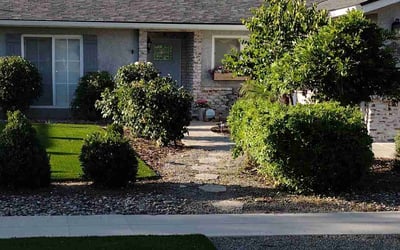 Photo of Sara P.'s yard after getting landscaping in Reedley, CA
