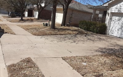 Photo of Karen F.'s yard after getting landscaping in Smithville, TX