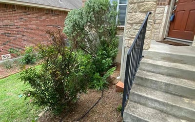 Photo of Joshua C.'s yard after getting landscaping in Geronimo, TX