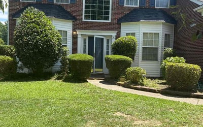 Photo of David L.'s yard after getting landscaping in Charlotte, NC