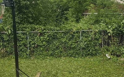 Photo of Mona E.'s yard after getting landscaping in Milwaukee, WI
