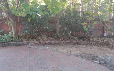 Photo of Darlene B.'s yard after getting landscaping in Fort Eustis, VA