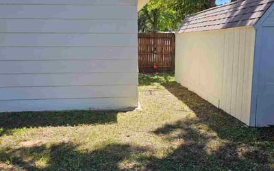 Photo of Sudheer K.'s yard after getting tree care in Irving, TX