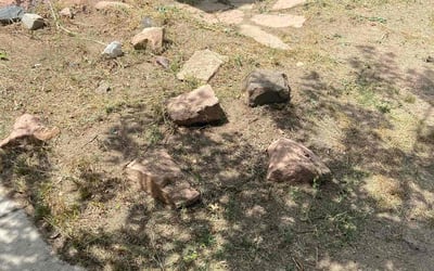 Photo of John R.'s yard after getting landscaping in Evergreen, CO