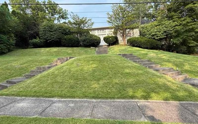 Photo of Nitza L.'s yard after getting tree care in Easton, PA
