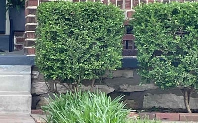 Photo of Karen B.'s yard after getting landscaping in Lees Summit, MO