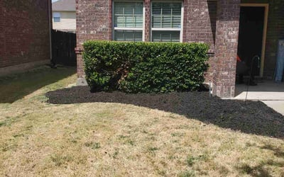 Photo of Amanda B.'s yard after getting landscaping in Farmersville, TX
