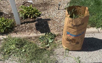 Photo of Linda J.'s yard after getting landscaping in Cedar Rapids, IA