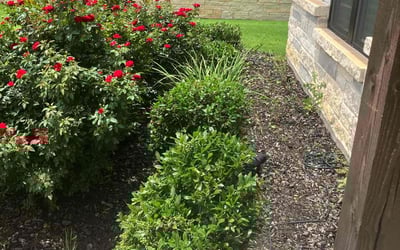 Photo of Jason C.'s yard after getting landscaping in Justin, TX