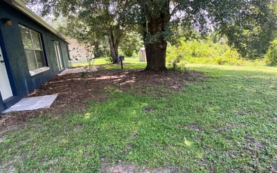 Photo of Robin D.'s yard after getting landscaping in Kenansville, FL