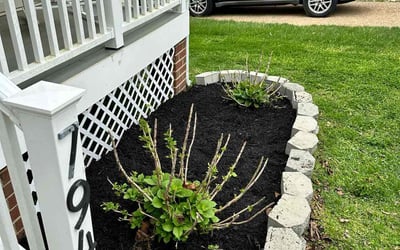 Photo of Allison D.'s yard after getting landscaping in Gum Spring, VA