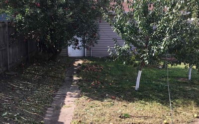 Photo of Paul C.'s yard after getting landscaping in Baldwin, WI
