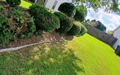 Photo of Cristal L.'s yard after getting tree care in Hiram, GA