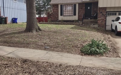 Photo of Diana B.'s yard after getting landscaping in Stilwell, KS