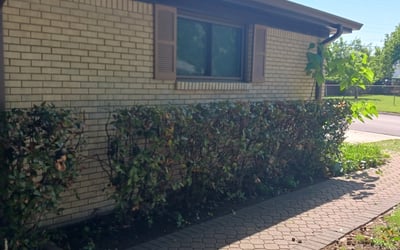 Photo of Amy Y.'s yard after getting landscaping in Tolar, TX