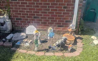 Photo of Jimmy S.'s yard after getting landscaping in La Vergne, TN