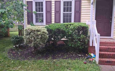 Photo of Karl K.'s yard after getting landscaping in Barhamsville, VA
