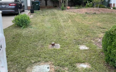 Photo of Lisa C.'s yard after getting landscaping in Hillsborough, NC