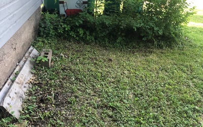 Photo of Joe S.'s yard after getting landscaping in Chisago City, MN