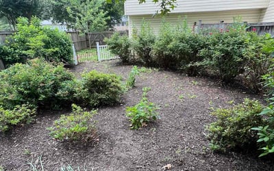 Photo of Mark L.'s yard after getting landscaping in Springfield, VA