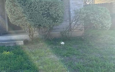 Photo of Julia S.'s yard after getting landscaping in Floresville, TX