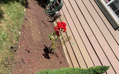 Photo of Rebecca R.'s yard after getting tree care in Gresham, OR