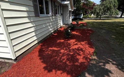 Photo of Meagan T.'s yard after getting tree care in Rochester, NY