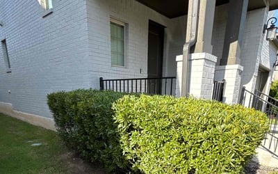 Photo of Matthew M.'s yard after getting landscaping in Georgetown, TX