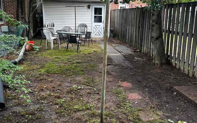 Photo of Matt S.'s yard after getting landscaping in Arlington, VA