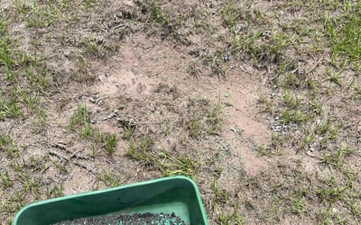 Photo of Andrew D.'s yard after getting landscaping in Jacksonville, FL