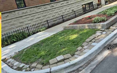 Photo of John S.'s yard after getting landscaping in Chicago, IL