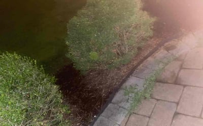 Photo of Tiffany M.'s yard after getting landscaping in Windsor Mill, MD