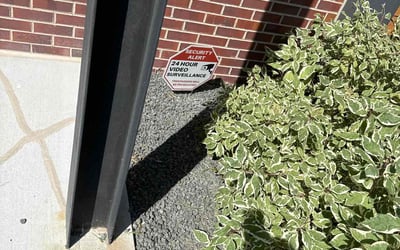 Photo of Scott S.'s yard after getting landscaping in Black Hawk, CO