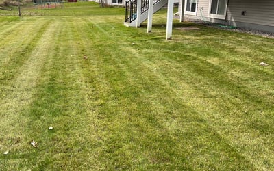 Photo of Venugopal V.'s yard after getting landscaping in Ellsworth, WI