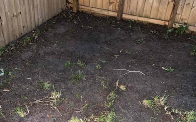 Photo of Ryan B.'s yard after getting landscaping in Hastings, FL