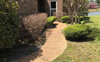 Photo of Caleb H.'s yard after getting landscaping in Senatobia, MS