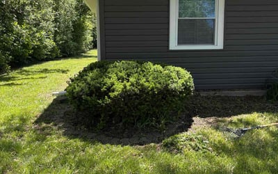 Photo of Christina T.'s yard after getting landscaping in Chicago Heights, IL