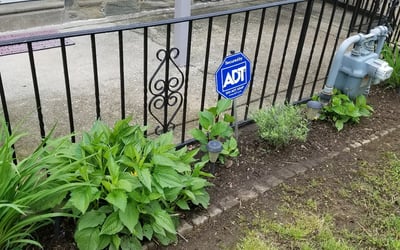 Photo of Jane M.'s yard after getting landscaping in Wallingford, PA