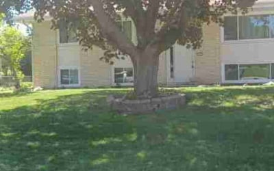 Photo of Jack P.'s yard after getting landscaping in Saint Bonifacius, MN