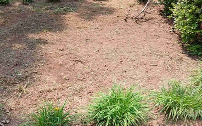 Photo of Mark B.'s yard after getting landscaping in Flowery Branch, GA