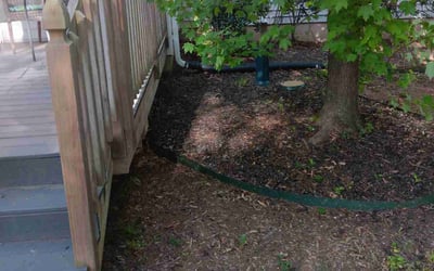 Photo of Karen S.'s yard after getting landscaping in Richburg, SC