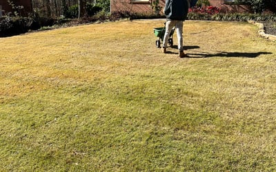 Photo of Joshua H.'s yard after getting landscaping in Holly Springs, GA