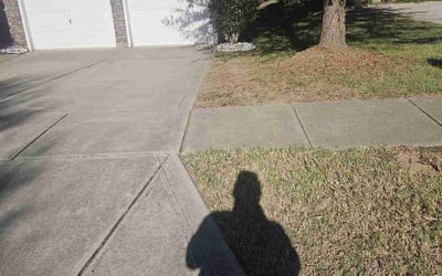 Photo of Chris G.'s yard after getting landscaping in Mount Pleasant, NC