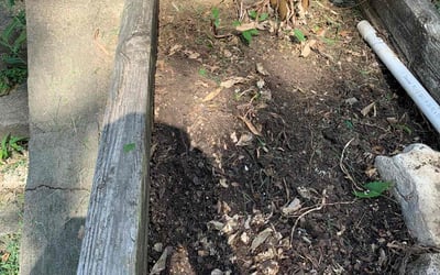 Photo of James A.'s yard after getting landscaping in Concordia, MO
