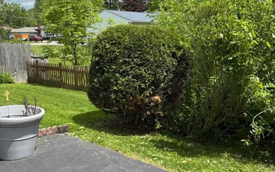 Photo of William H.'s yard after getting landscaping in Brunswick, OH