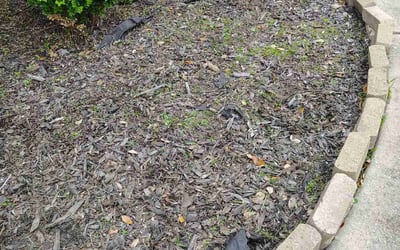 Photo of Ryan R.'s yard after getting landscaping in Waller, TX