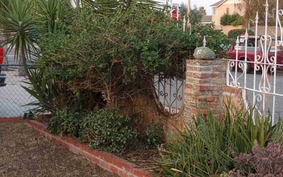 Photo of Steven G.'s yard after getting landscaping in Santa Cruz, CA