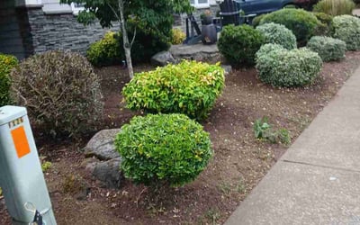 Photo of David M.'s yard after getting landscaping in Gladstone, OR